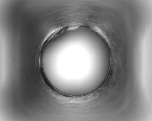 X0000087060011200705021226