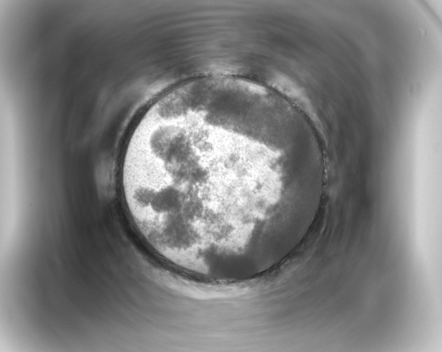 X0000087060012200705021226