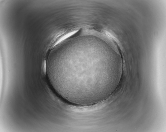 X0000087060013200705021226