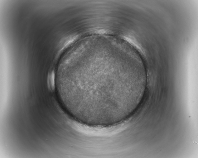 X0000087060014200705021226