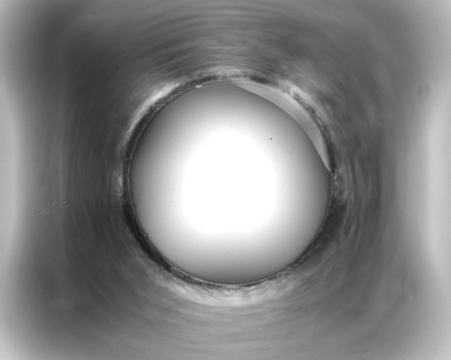 X0000087060015200705021226