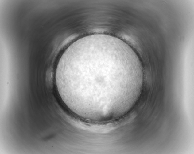 X0000087060016200705021226