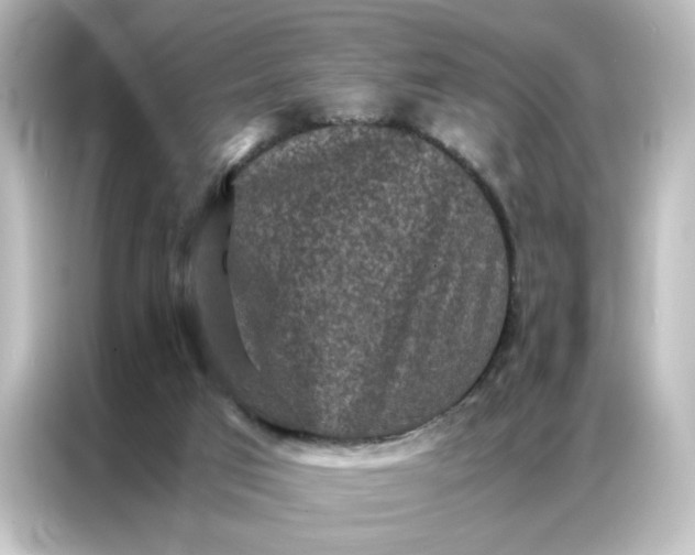 X0000087060017200705021226