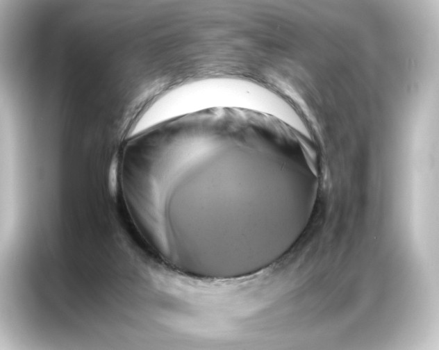 X0000087060019200705021226