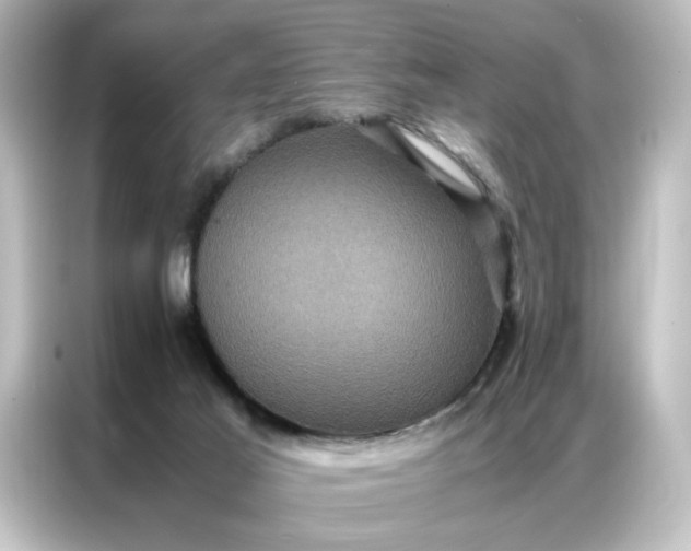 X0000087060021200705021226