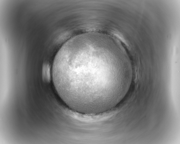 X0000087060022200705021226