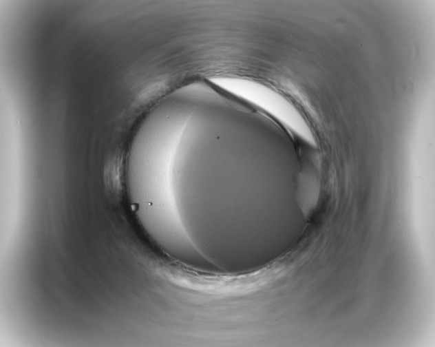 X0000087060023200705021226