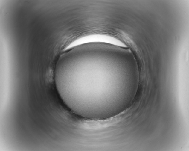 X0000087060025200705021226