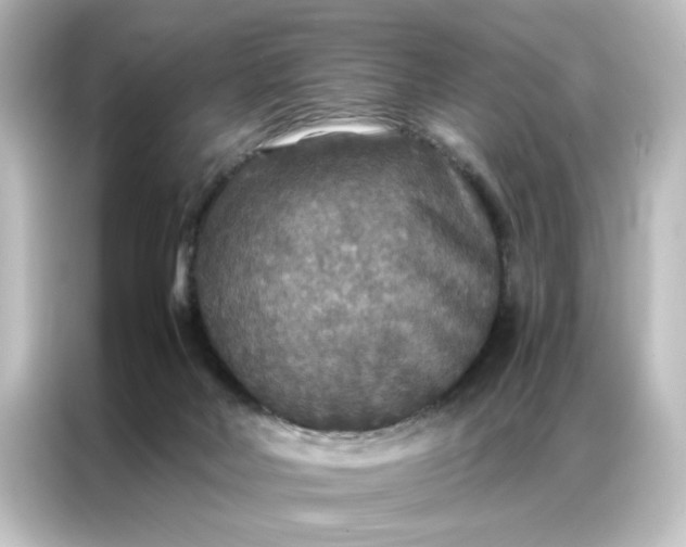 X0000087060026200705021226