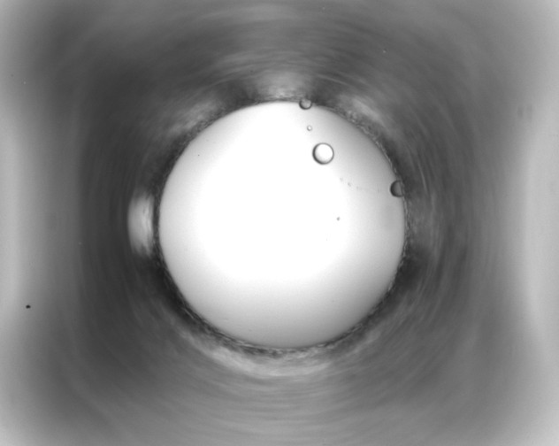 X0000087060028200705021226