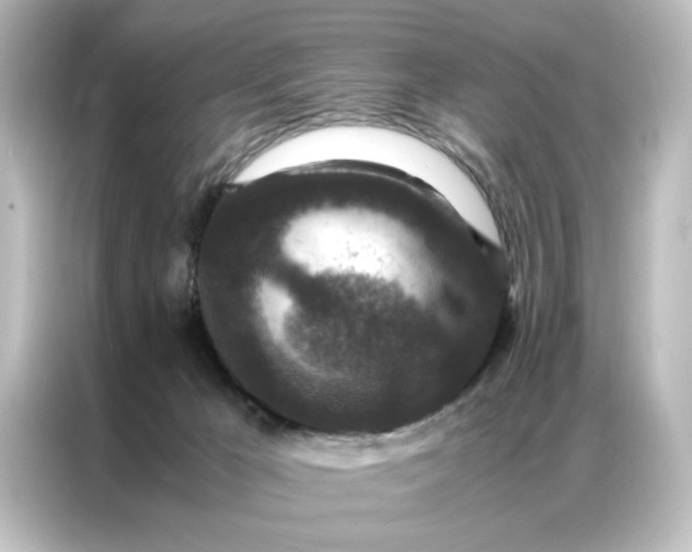 X0000087060029200705021226