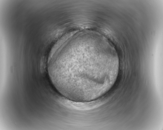 X0000087060030200705021226