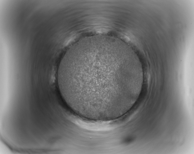 X0000087060032200705021226