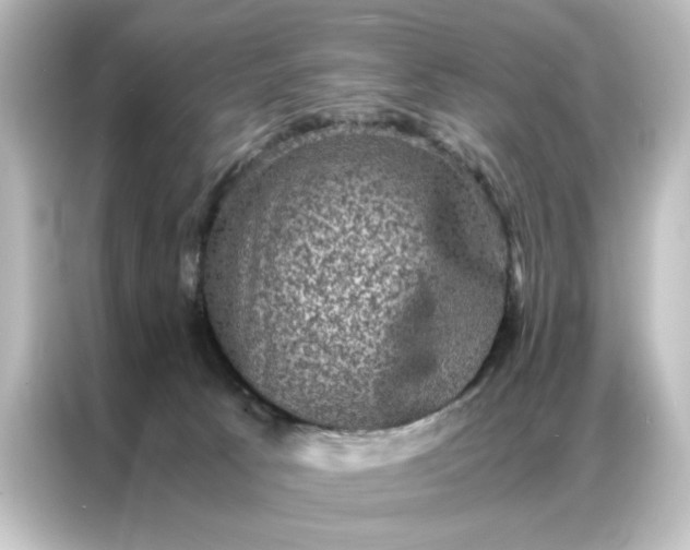 X0000087060033200705021226