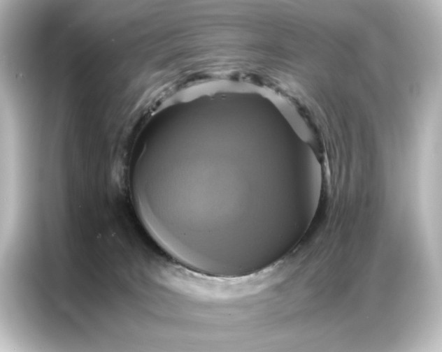 X0000087060035200705021226