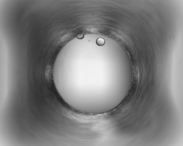 X0000087060036200705021226