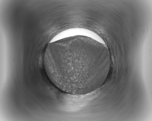 X0000087060037200705021226