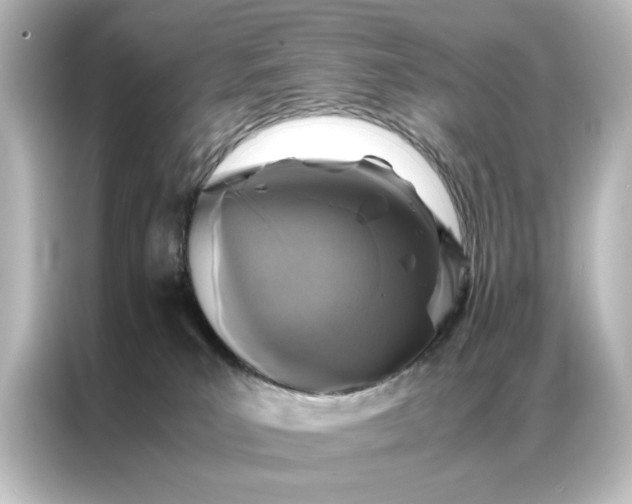 X0000087060039200705021226