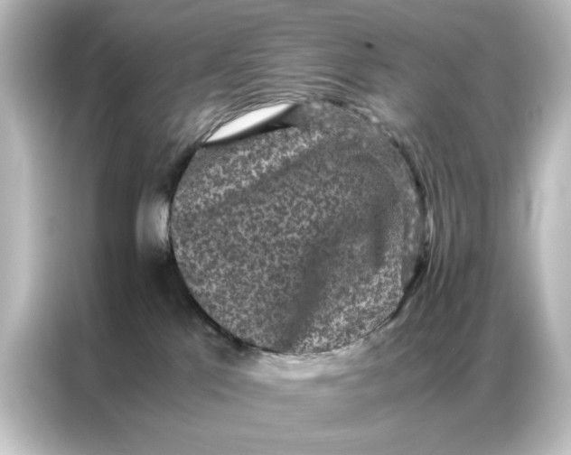 X0000087060041200705021226