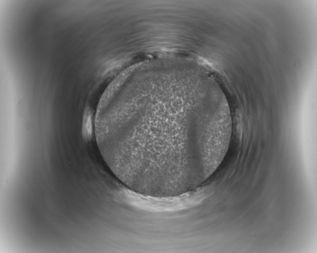 X0000087060042200705021226