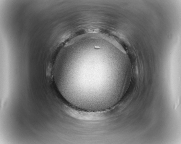 X0000087060044200705021226