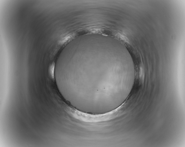 X0000087060047200705021226