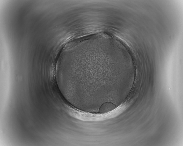 X0000087060048200705021226