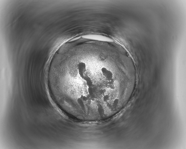 X0000087060049200705021225