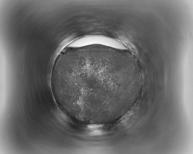 X0000087060051200705021225