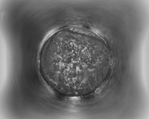 X0000087060053200705021225