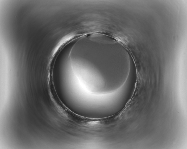 X0000087060054200705021225