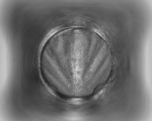 X0000087060055200705021225