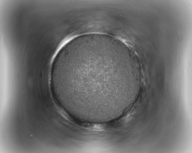 X0000087060056200705021225