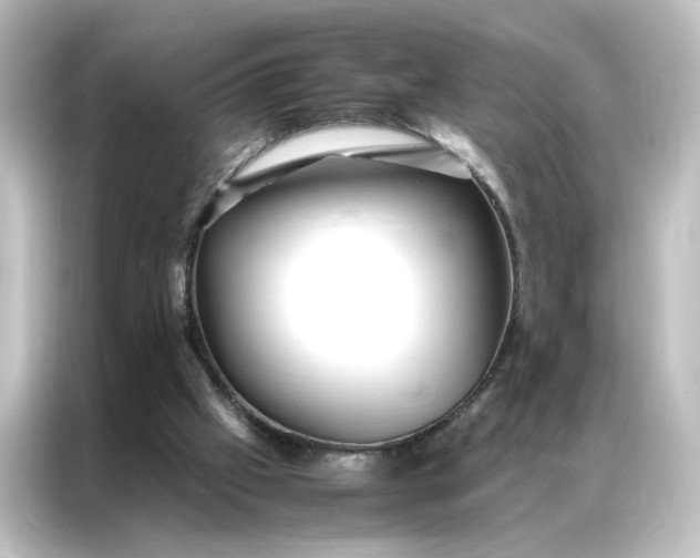 X0000087060057200705021225