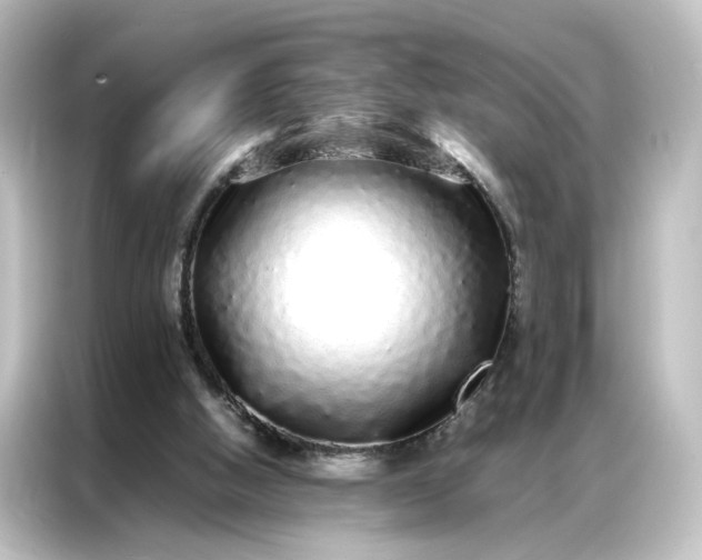 X0000087060058200705021225