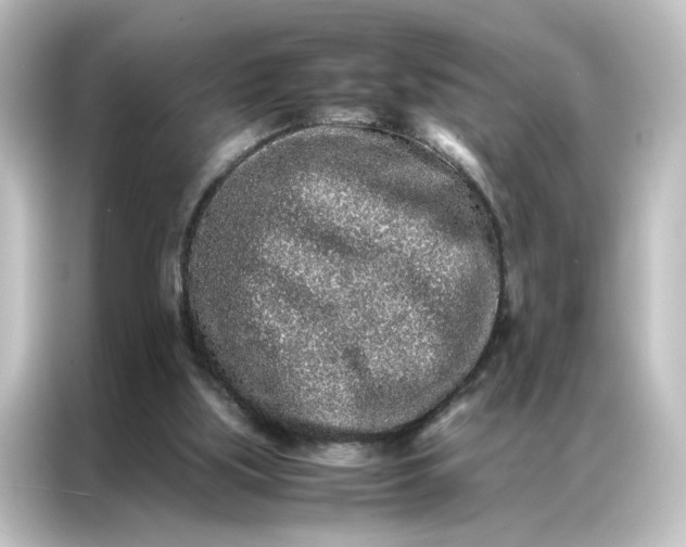 X0000087060059200705021225