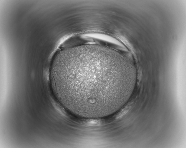 X0000087060060200705021225