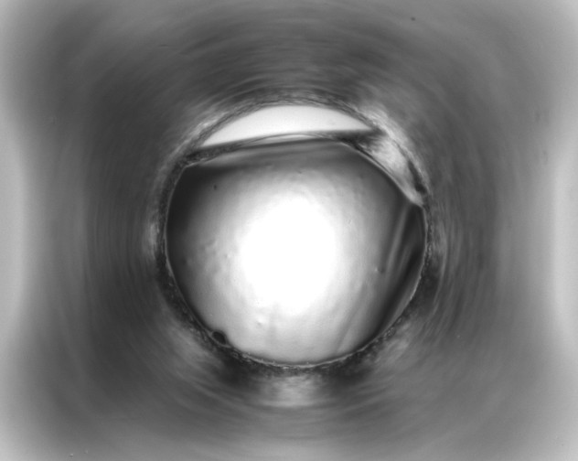 X0000087060063200705021225