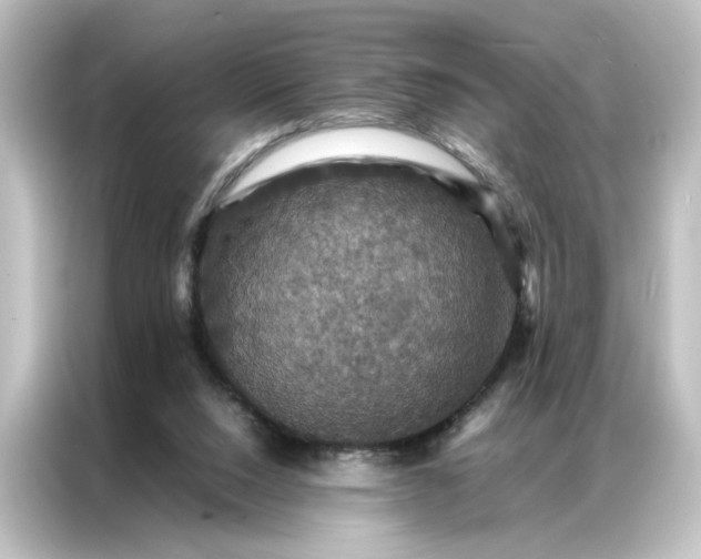 X0000087060064200705021225