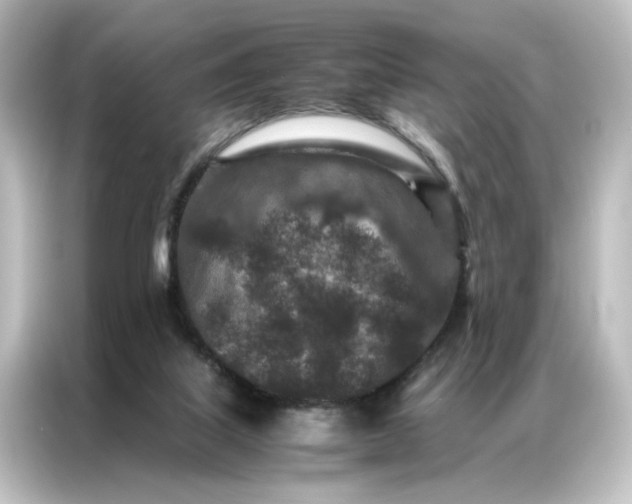 X0000087060067200705021225