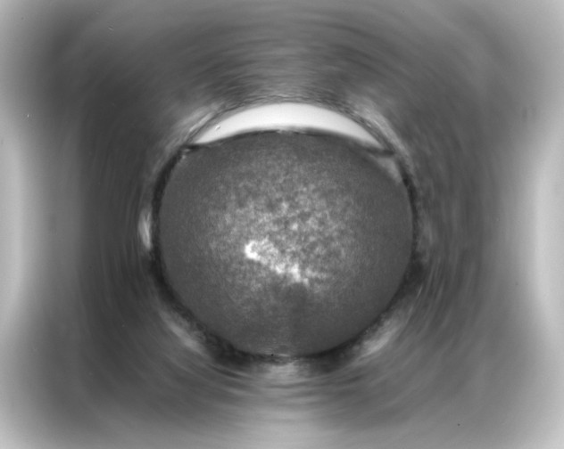 X0000087060068200705021225