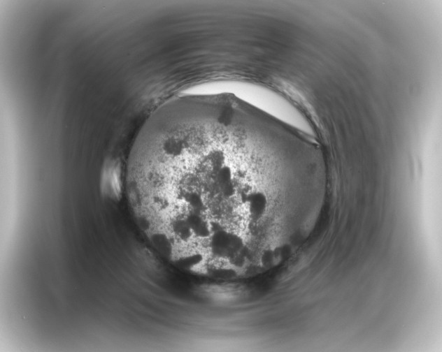 X0000087060069200705021225