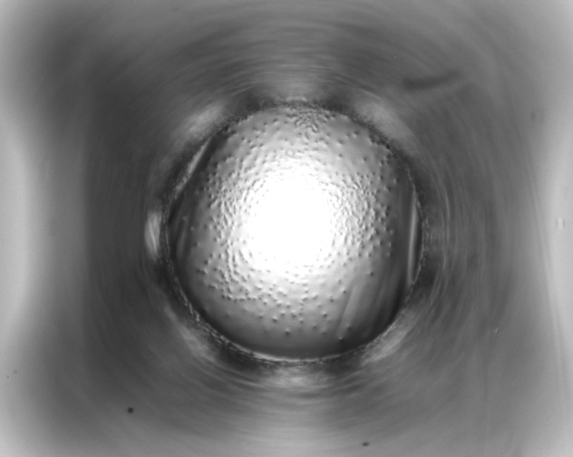 X0000087060070200705021225