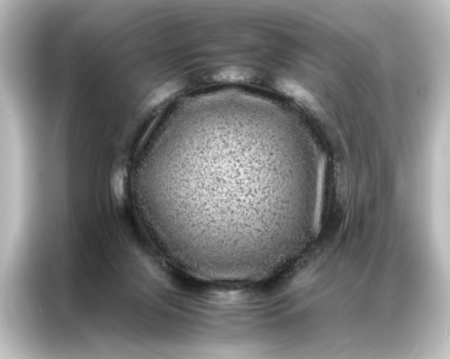 X0000087060071200705021225