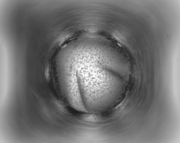 X0000087060074200705021225