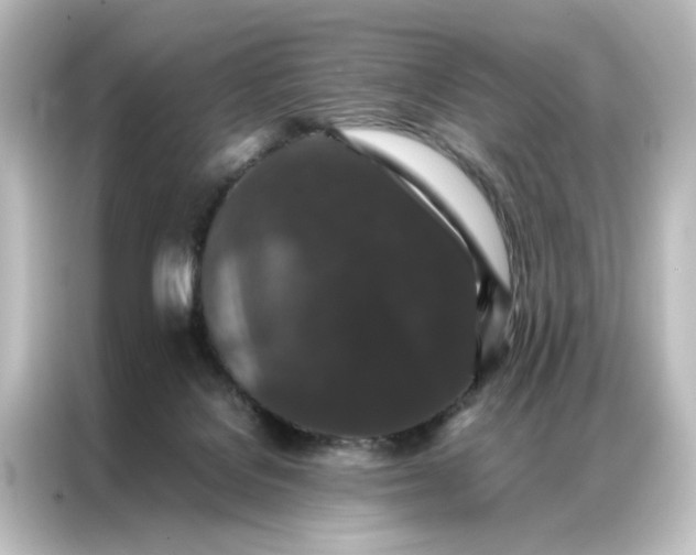 X0000087060076200705021225