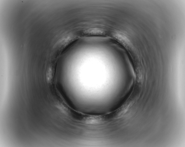 X0000087060077200705021225