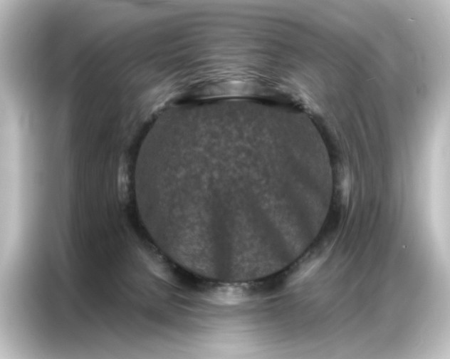 X0000087060080200705021225