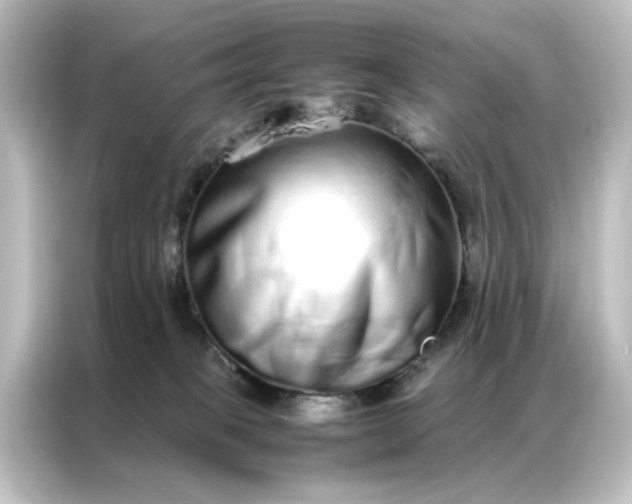 X0000087060085200705021225