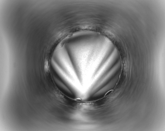 X0000087060089200705021225